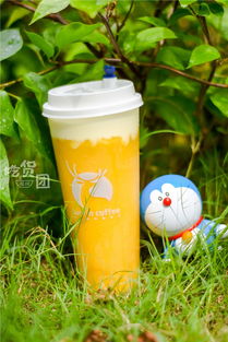 火爆全福州的小鹿茶測評來了！一口氣喝了5杯，你的夏日飲品要更新了
